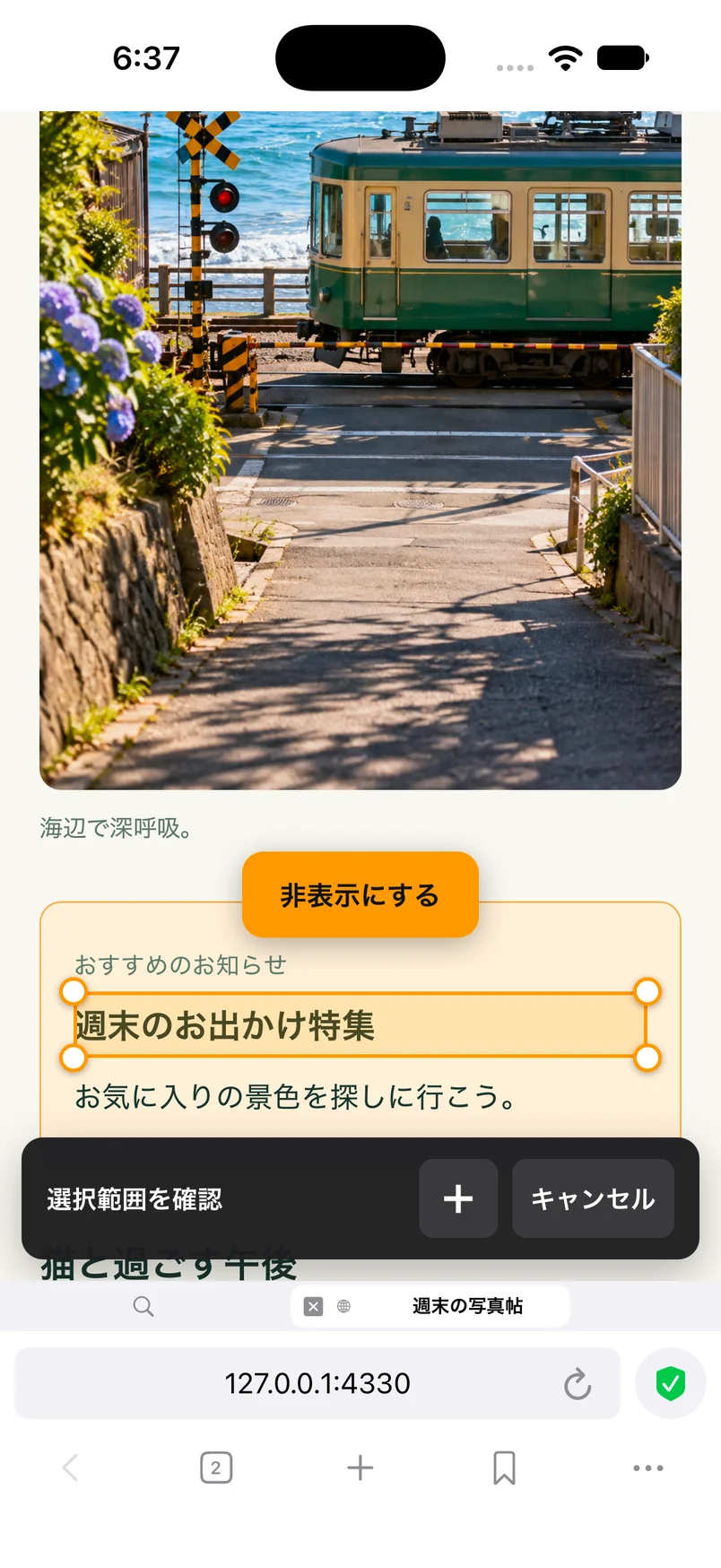 要素ブロッカーで選択範囲が枠で囲まれ、四隅に調整用のハンドルが表示されている画面