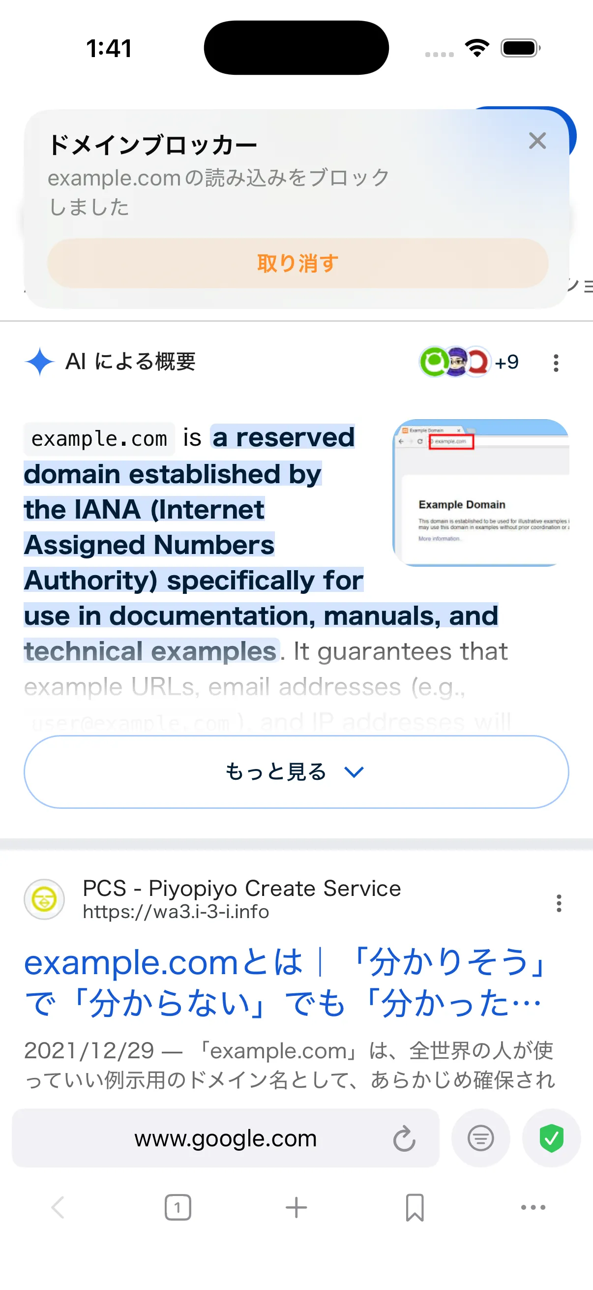 ポルンでexample.comへの直接アクセスがドメインブロッカーにより停止された画面